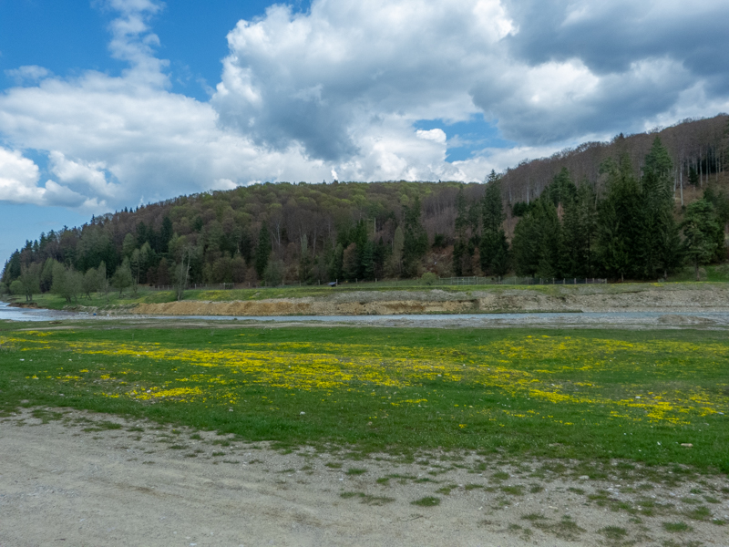 enclosure of european bison