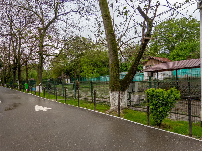 enclosure of european bison