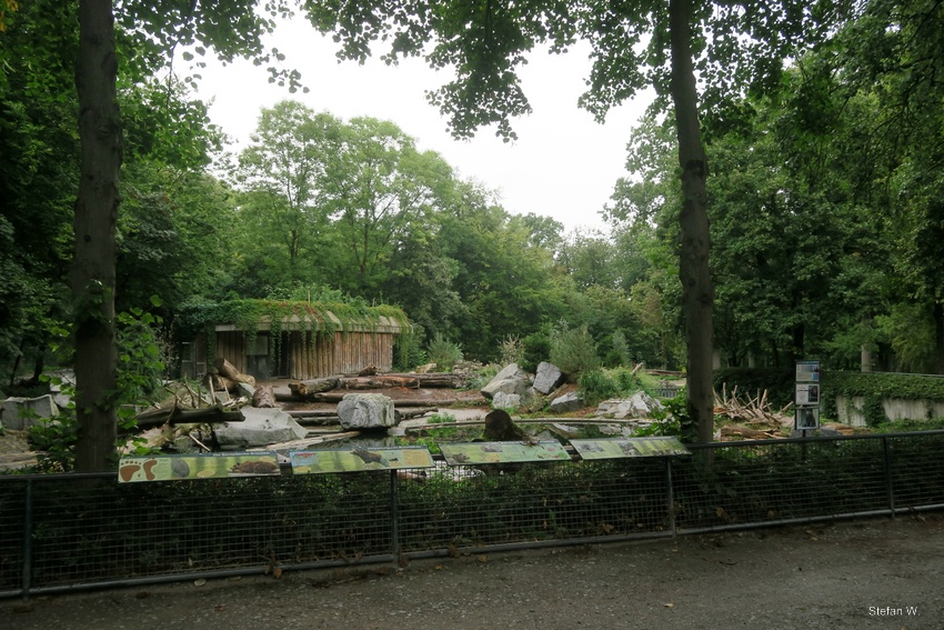 Enclosure of european brown bears