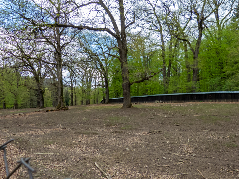 Enclosure of Fallow deer