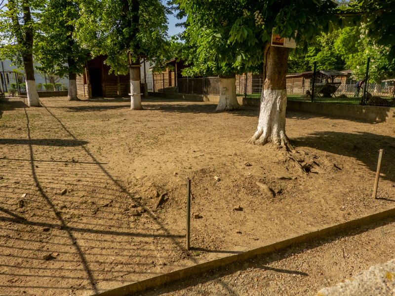 enclosure of fallow deer