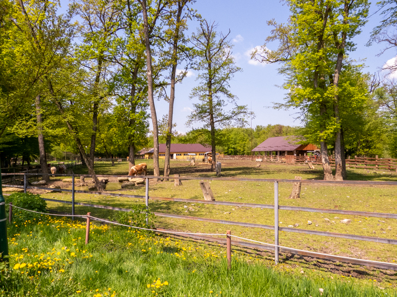 enclosure of farm animals