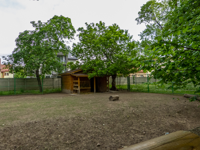 enclosure of fellow deer