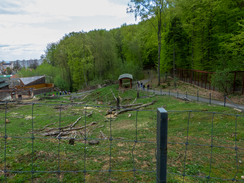 enclosure of goats and donkeys