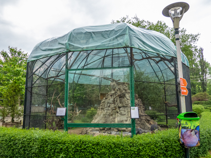 enclosure of grey crowned crane