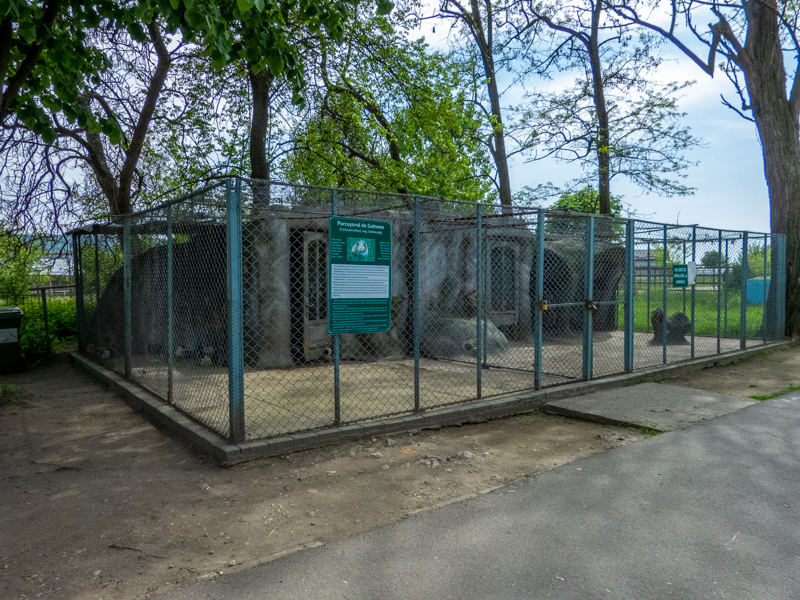 enclosure of guinea pigs