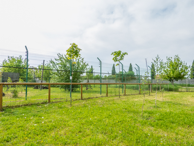enclosure of japanese macaque