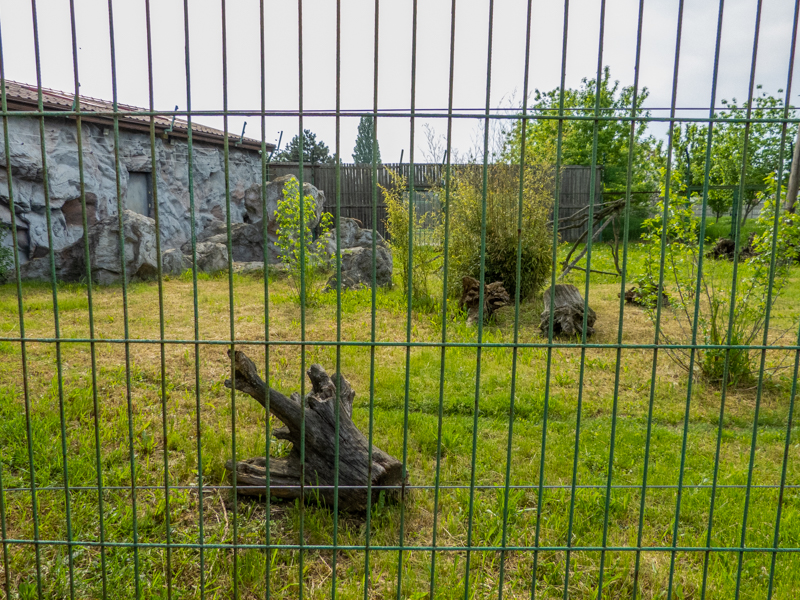 enclosure of japanese macaque