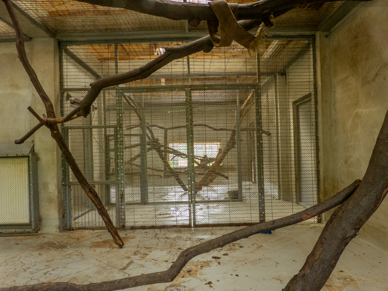 enclosure of japanese macaque
