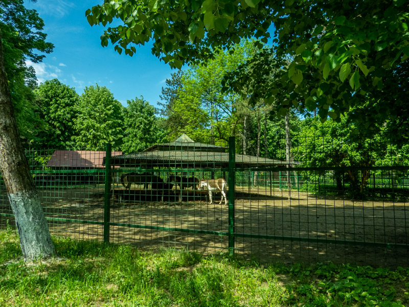 enclosure of kiang