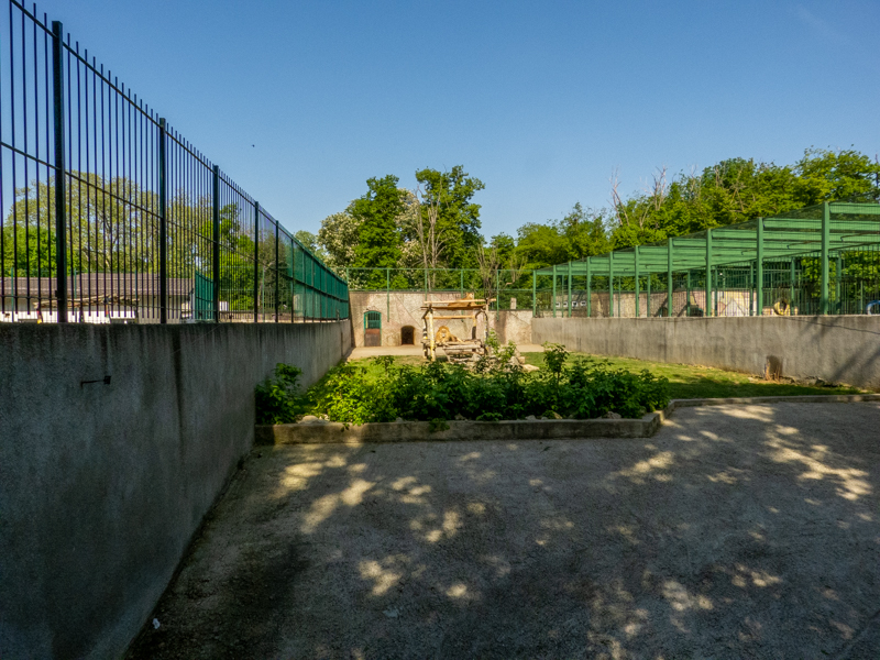 enclosure of lion #1