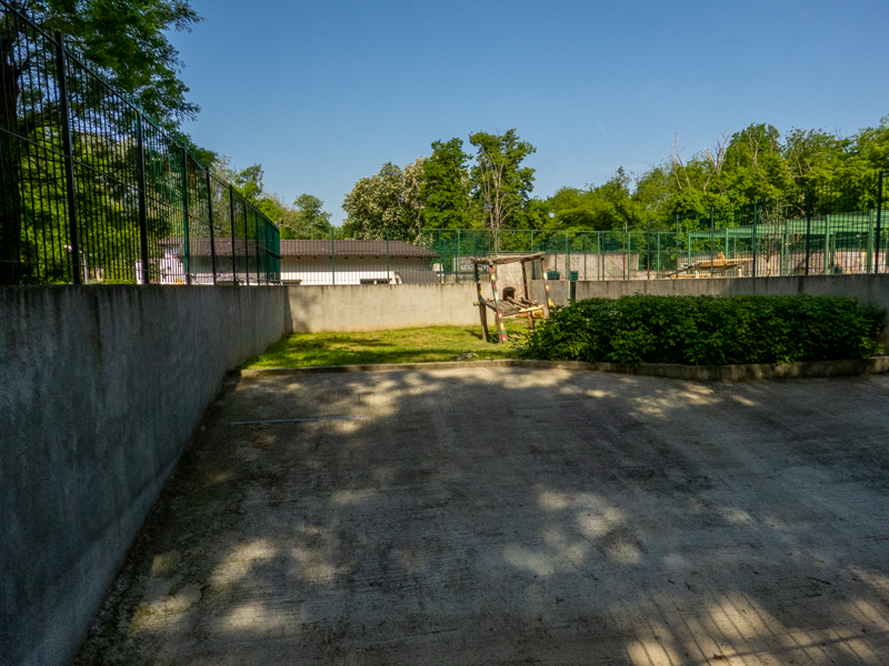 enclosure of lion #2