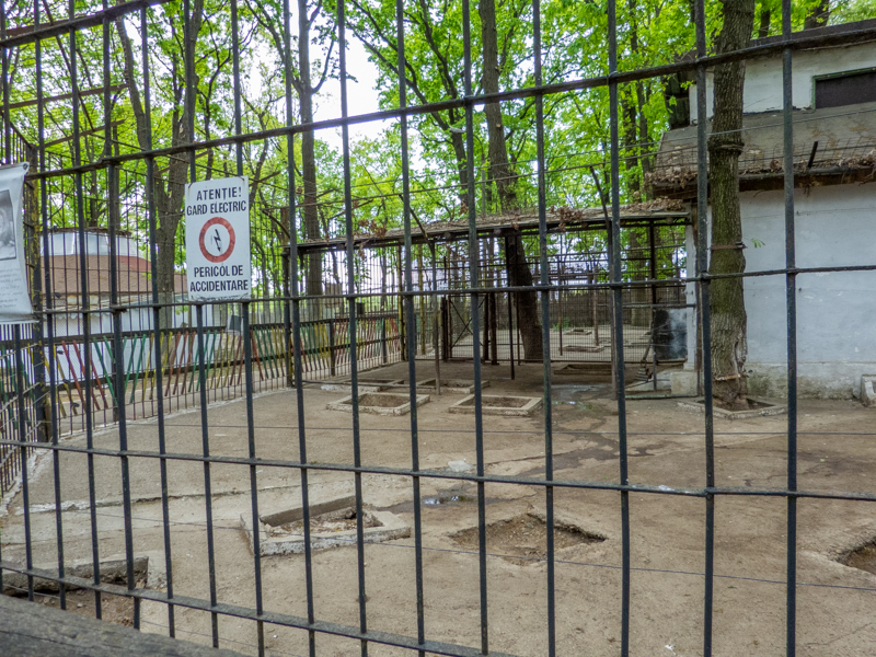 Enclosure of lion No 1