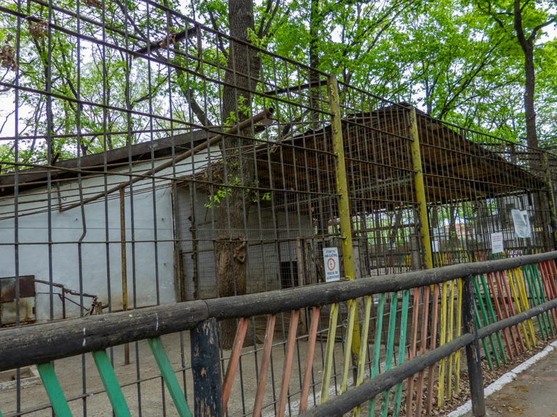 Enclosure of lion No 1