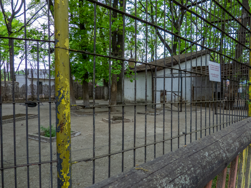 Enclosure of lion No 2