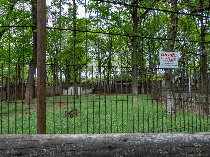 Enclosure of lion No 2