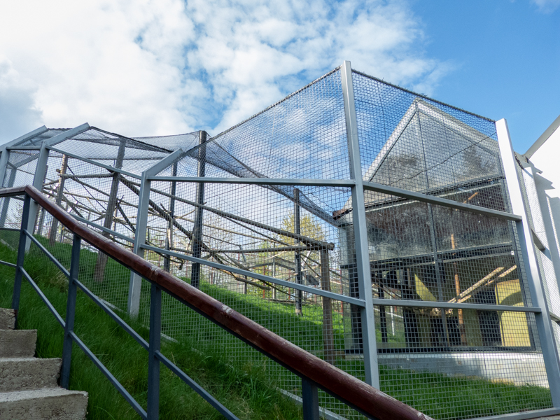 enclosure of lion-tailed macaque