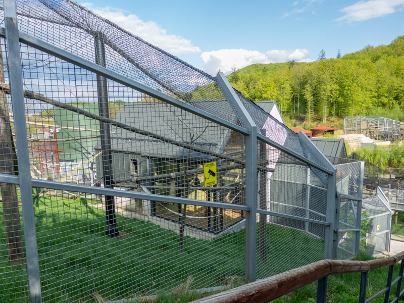 enclosure of lion-tailed macaque