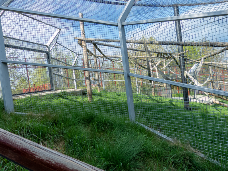 enclosure of lion-tailed macaque