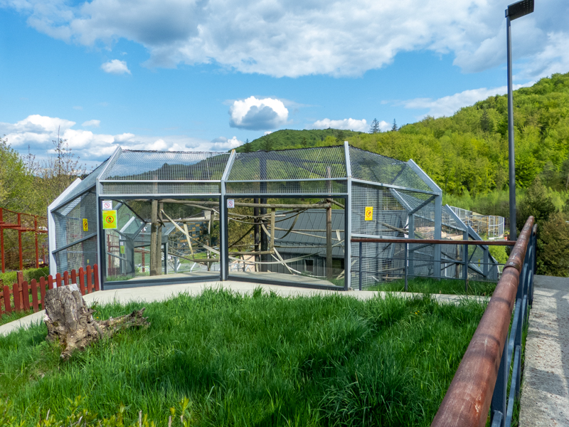 enclosure of lion-tailed macaque