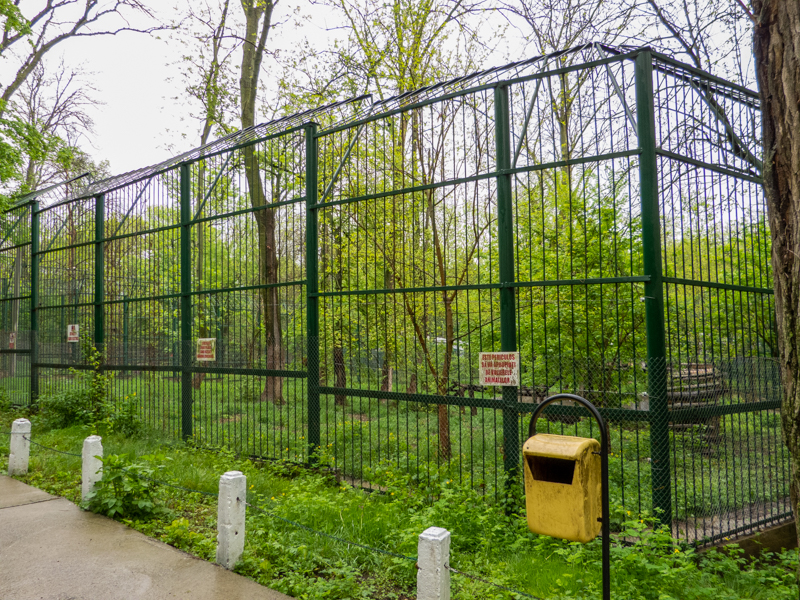 enclosure of lion