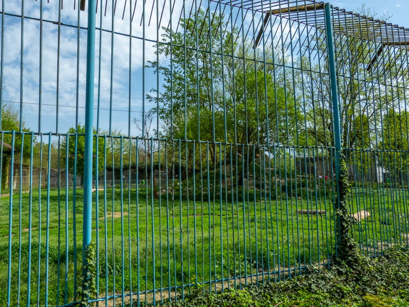 Enclosure of lions No 2