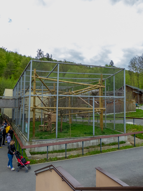 enclosure of lynx (exp. snow leopard #2)