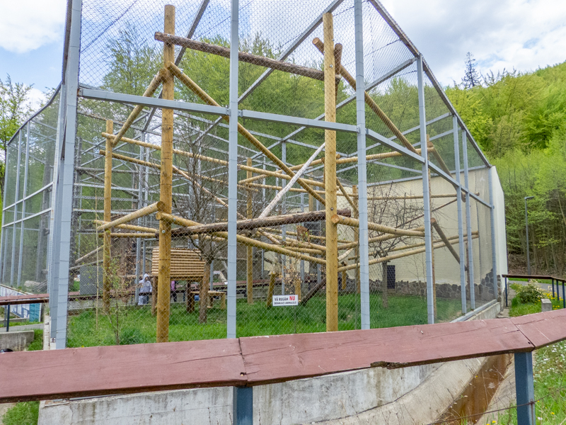 enclosure of lynx (exp. snow leopard #2)