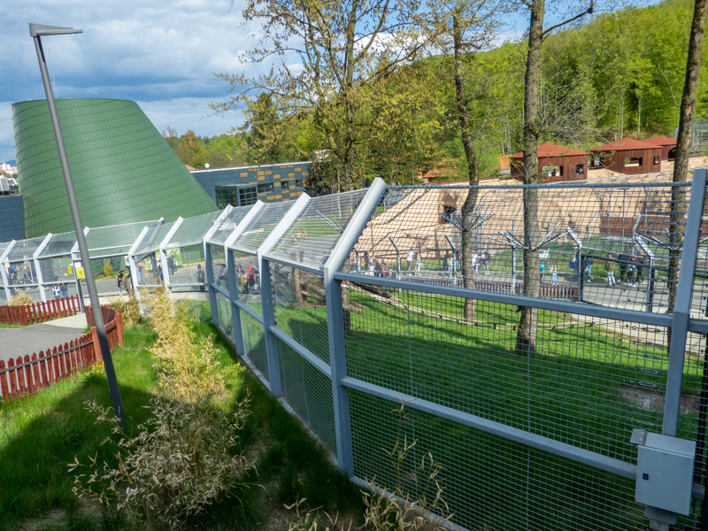 enclosure of mantled guereza