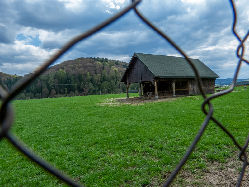 enclosure of maral, roe deer and european bison