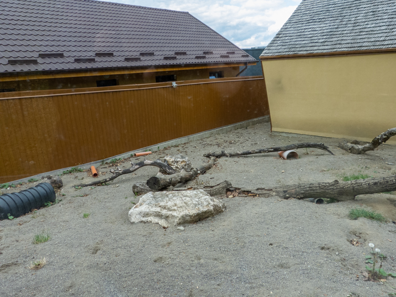 enclosure of meerkat