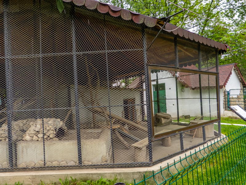 enclosure of meerkats