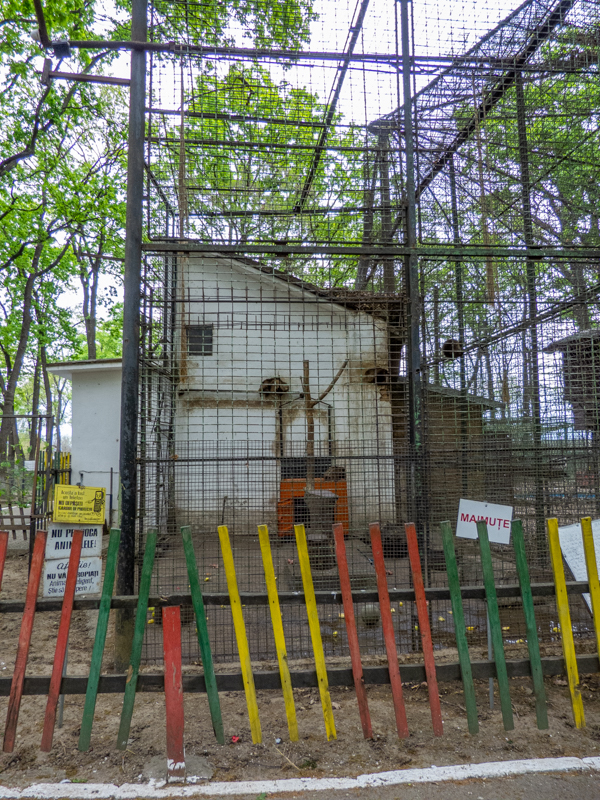 enclosure of monkeys
