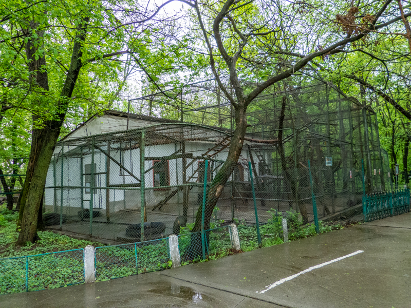 enclosure of monkeys