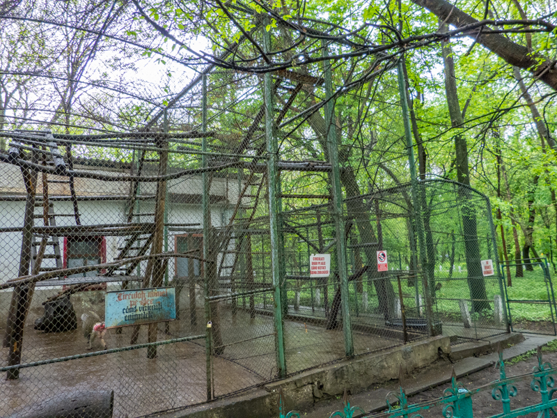 enclosure of monkeys