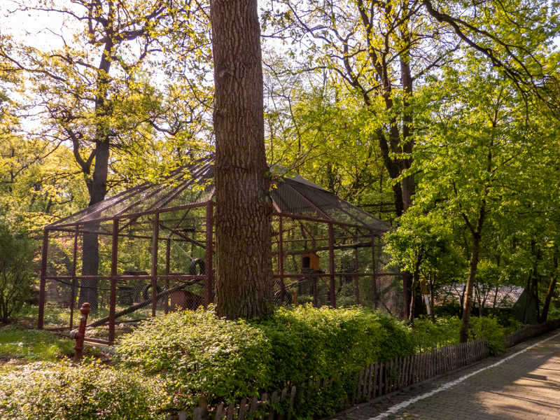 enclosure of monkeys