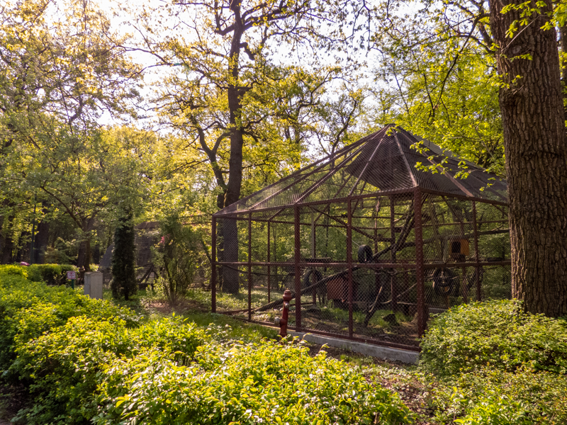 enclosure of monkeys