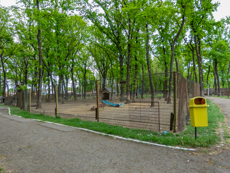 enclosure of moufflon