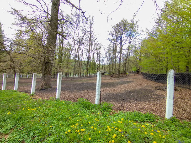 Enclosure of moufflon