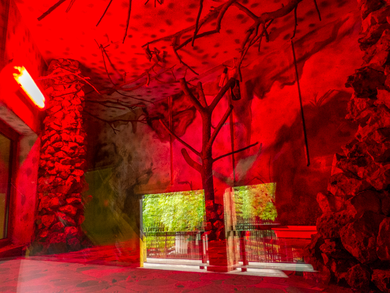 enclosure of nile flying fox