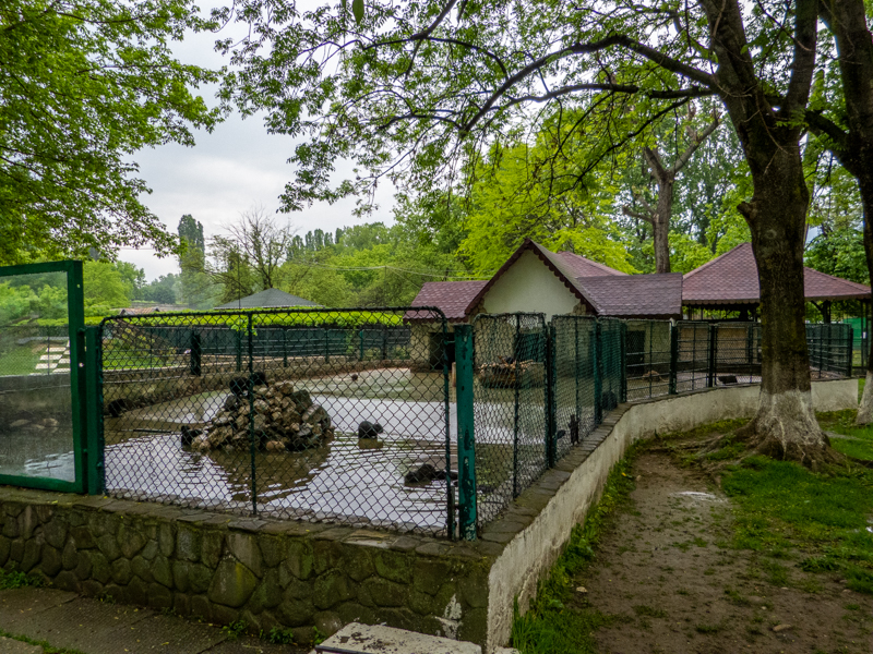 enclosure of nutria