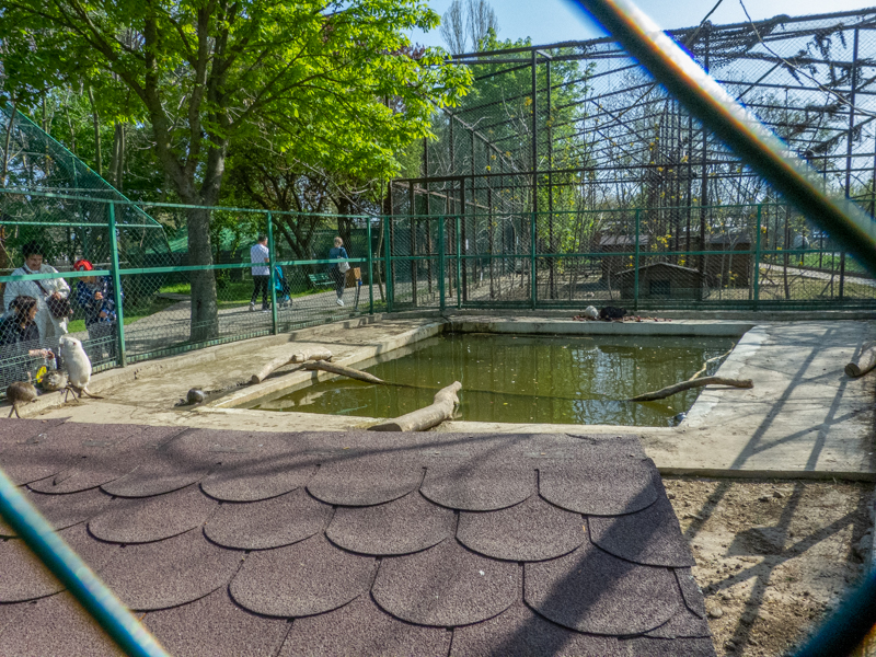 enclosure of nutrias