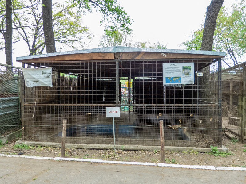 enclosure of nutrias