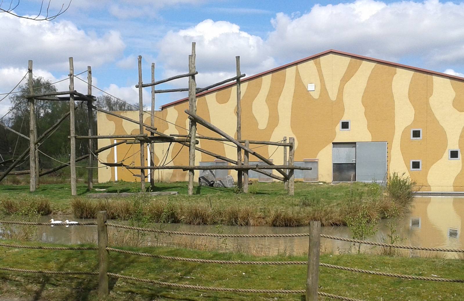 Enclosure of one of the chimp-colonies