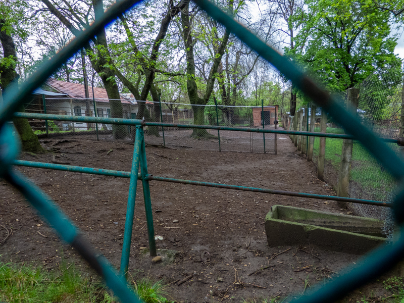 enclosure of ostrich