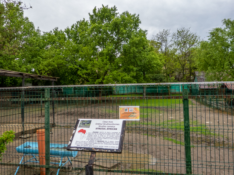 enclosure of ostrich