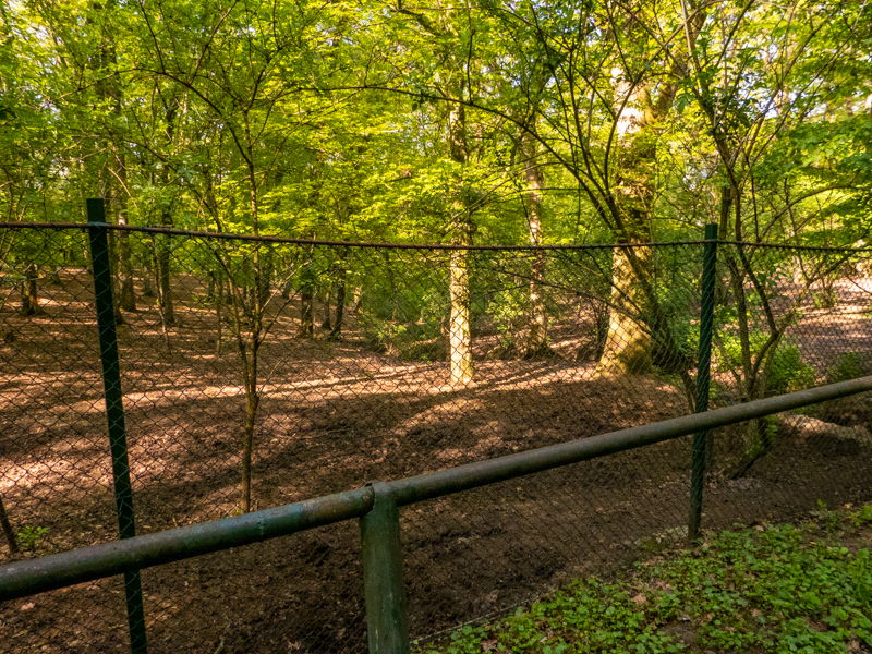 enclosure of ostrich