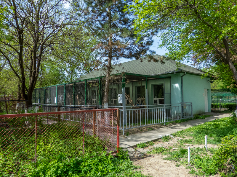 Enclosure of parrots