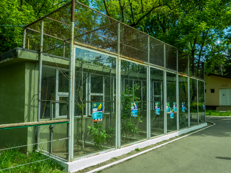 enclosure of parrots