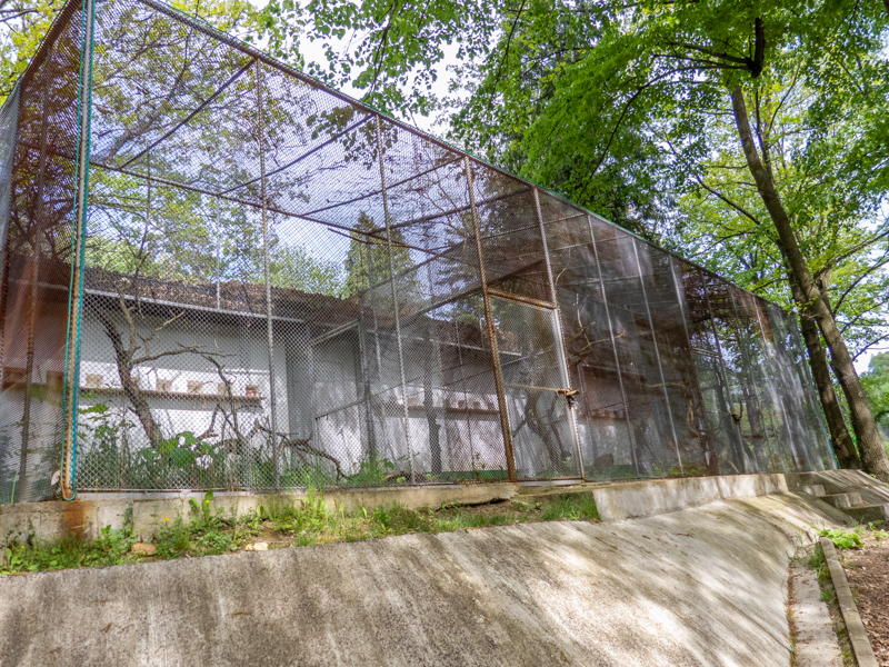 enclosure of parrots